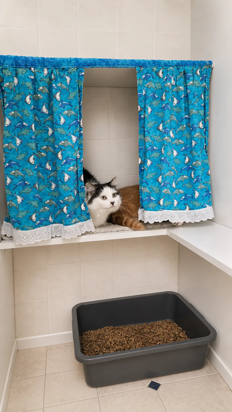 Spacious floor-to-ceiling custom wooden condo at The Cat Chalet feline boarding hotel in Randolph NJ