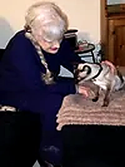 Siamese cat Mitzvah snuggling with staff at our Randolph NJ facility